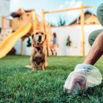7 Must-Have Features When Choosing a Dog Poop Pickup Service in Henderson